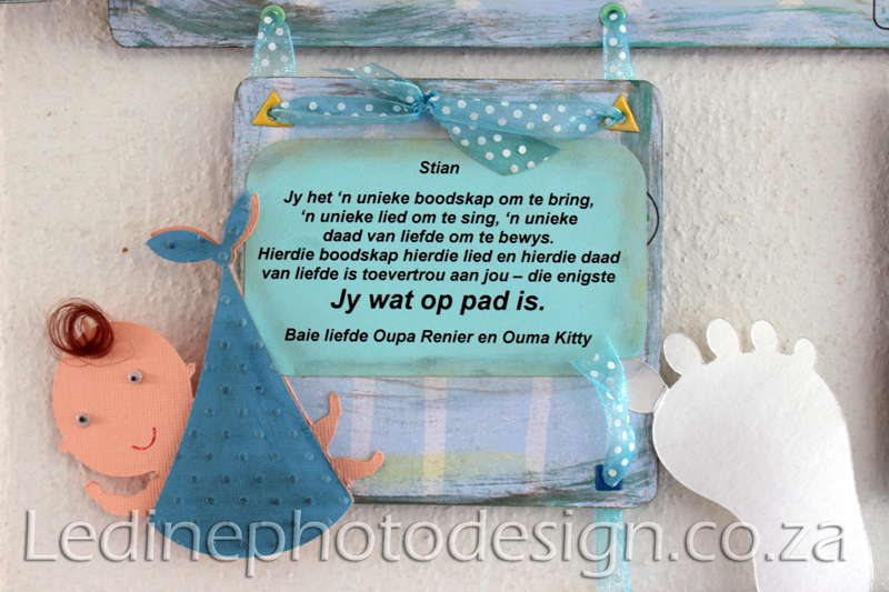 Baby Shower Photographer